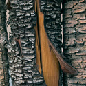 coyotefence13b