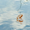 deepbayharbour44