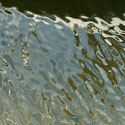 deepbayharbour6