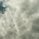 deepbayharbour8