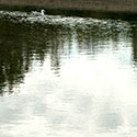 deepbayharbour9