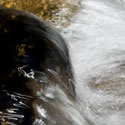 pecosriver2