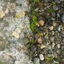 qualicumbay3