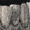 Teeth